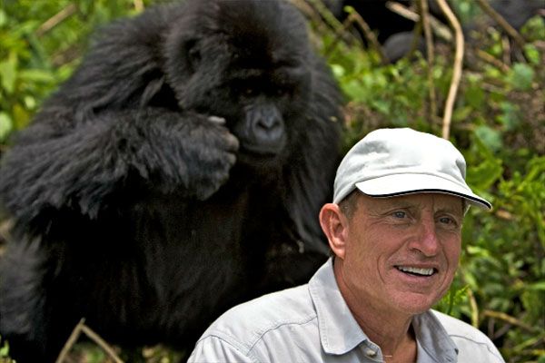 gorillas john 1 1608901a