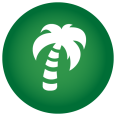 About 9 icon palmtree 22e5d6ac