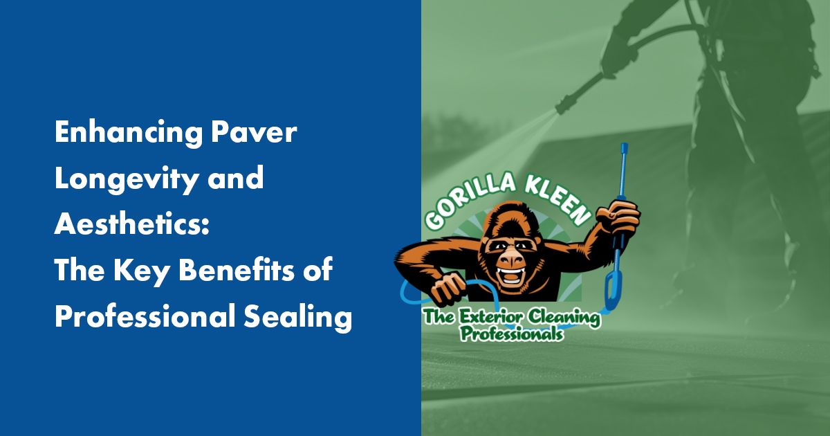 Enhancing Paver Longevity and Aesthetics: The Key Benefits of Professional Sealing 1 GK Blog 5 41ddc5fd