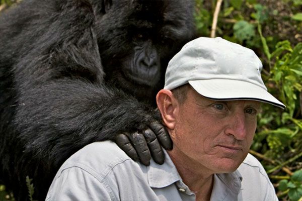 Real Gorillas 5 gorillas john 2 5dbe3049