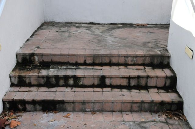 steps before d6436725