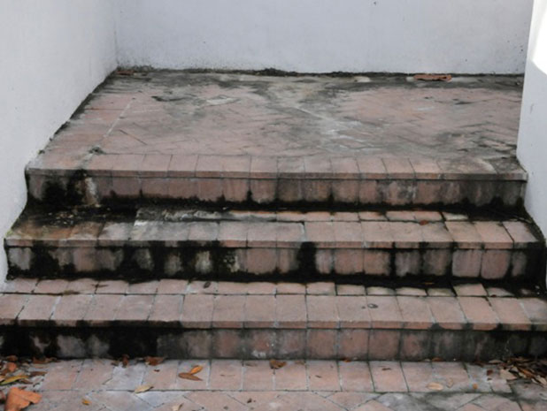 Residential stairs dirty before Gorilla Kleen professional pressure washing Sarasota FL