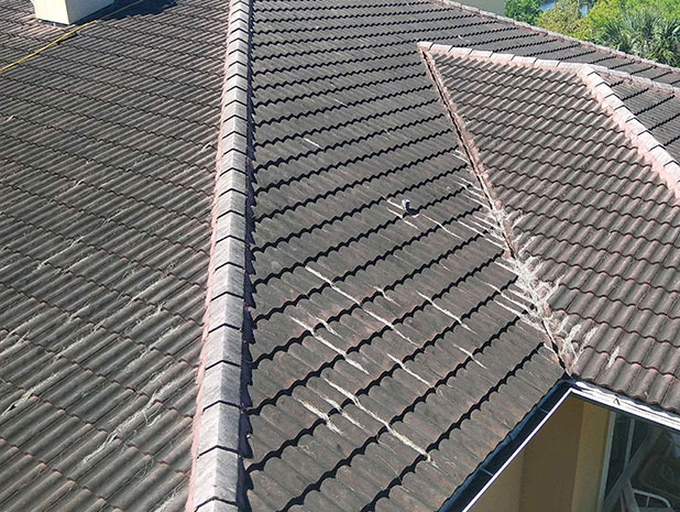 Roof shingles dirty before Gorilla Kleen professional pressure washing Sarasota FL