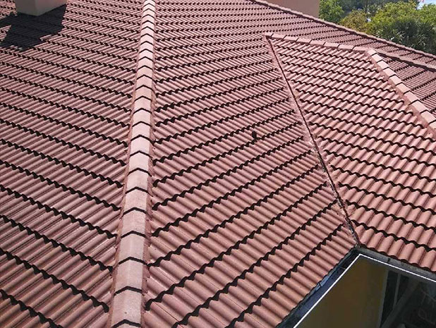 Roof shingles cleaned by Gorilla Kleen professional pressure washing services Sarasota